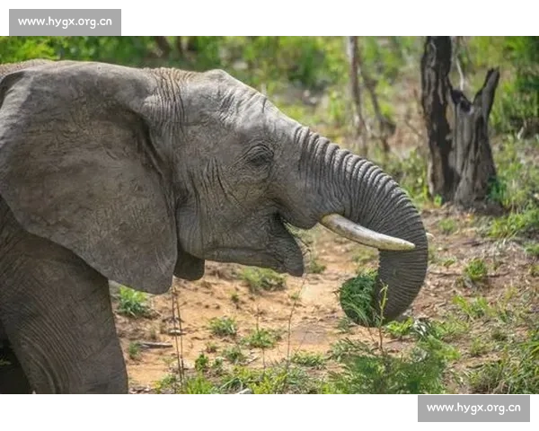 《小时代3:命运交错中的选择与成长,四个女人的心灵碰撞与未来之路》 《小时代3:命运交错中的选择与成长,四个女人的心灵碰撞与未来之路》